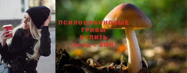 мяу мяу мука Алзамай