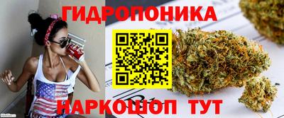 мет Бийск
